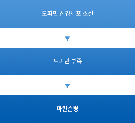 도파민 신경세포 손실 > 도파민 부족 > 파킨슨병